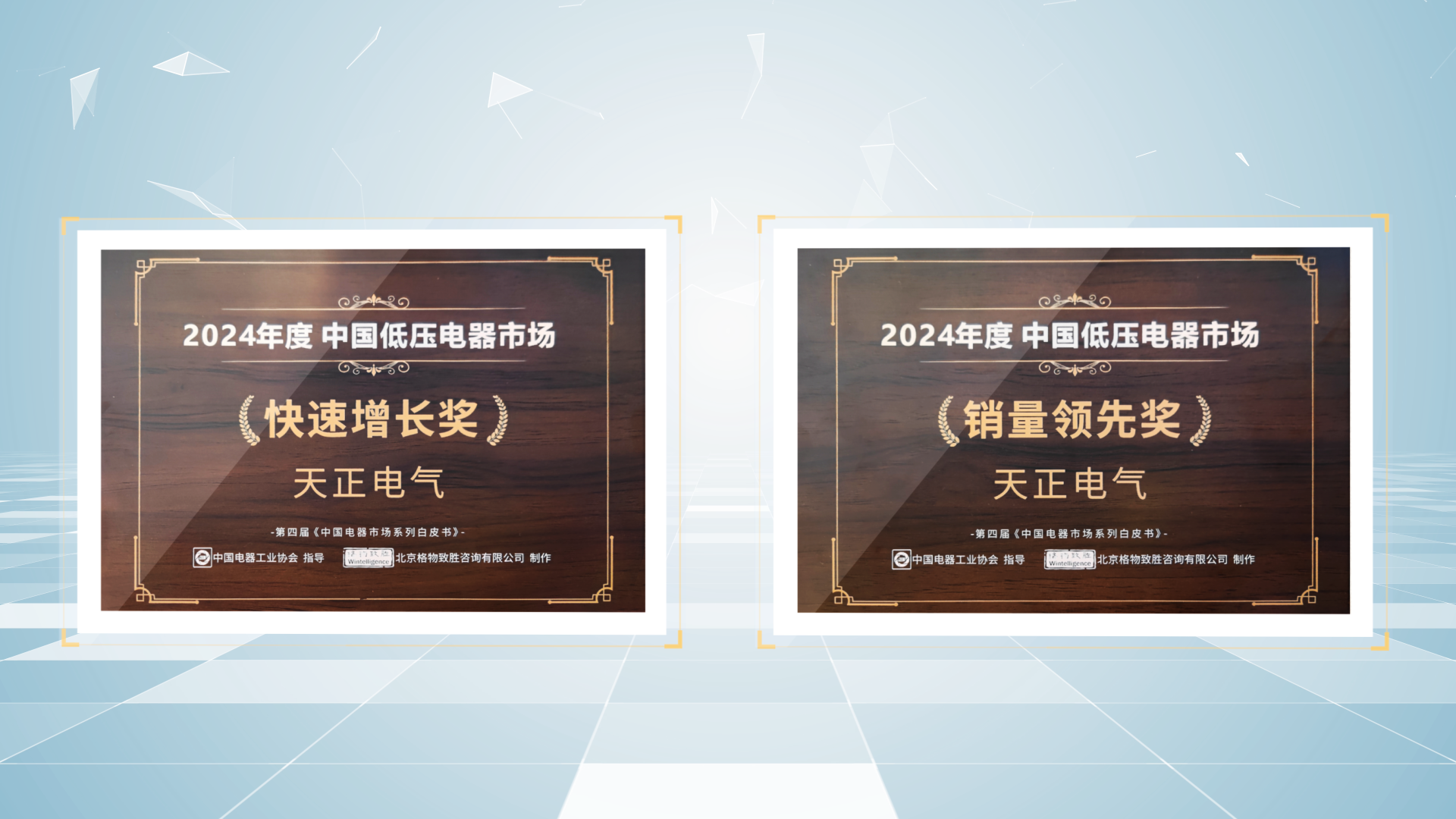 銷量領先、快速增長丨麻花星空mv麻花星空mv高清完整榮膺2項行業年度大獎